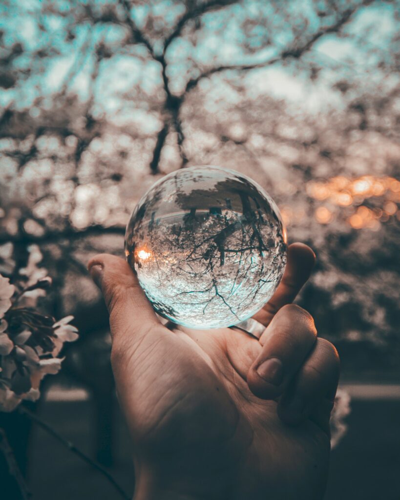 a hand holding a clear reflective glass globe that is reflecting a blooming tree